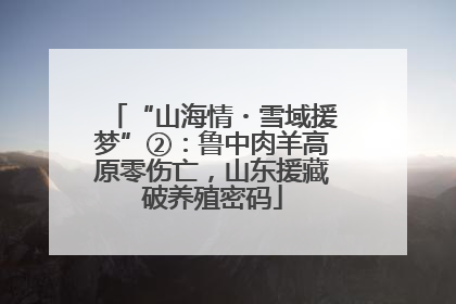 “山海情・雪域援梦”②：鲁中肉羊高原零伤亡，山东援藏破养殖密码